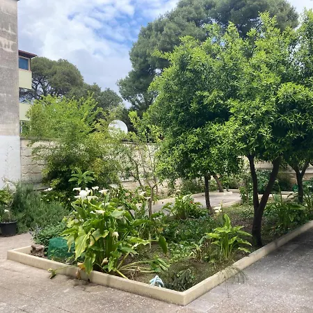 Bed & Breakfast Federico's *