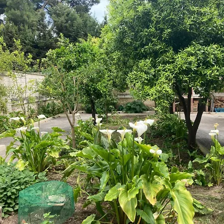 Bed & Breakfast Federico's